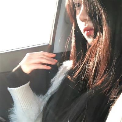 小乌龟福兰克林