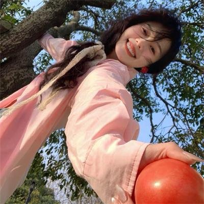 菜鸟先生
