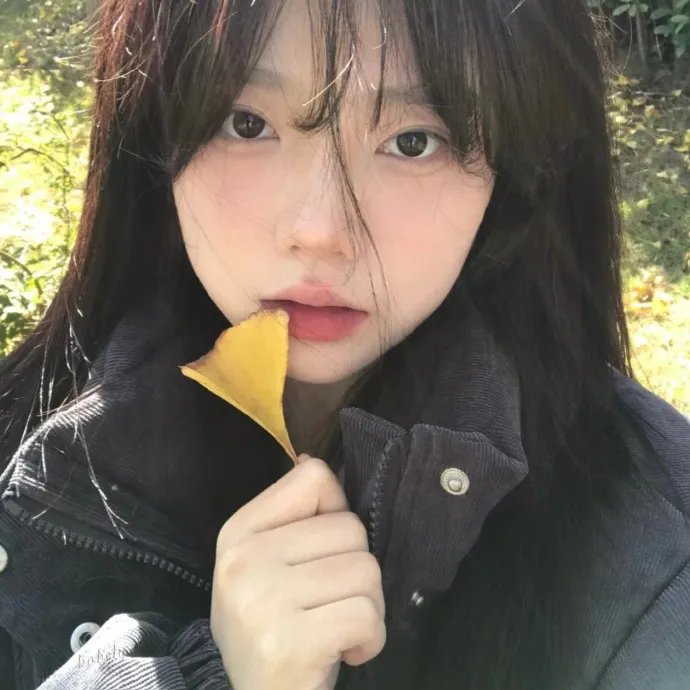 李诺的梦想